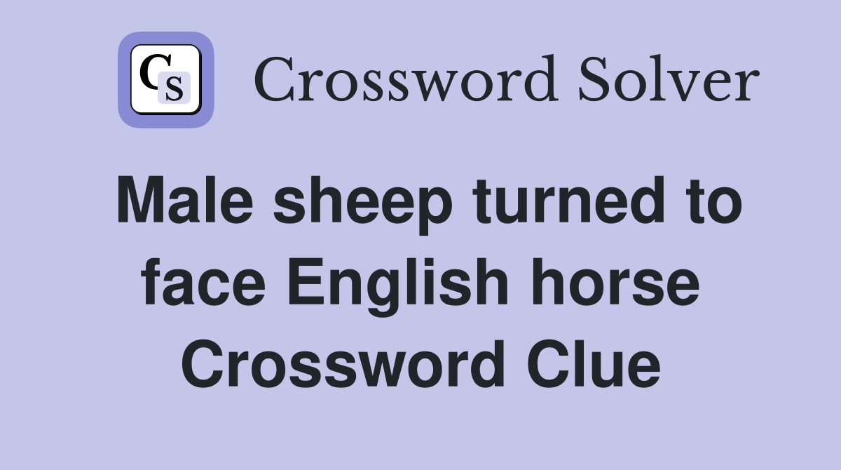 Male sheep turned to face English horse Crossword Clue