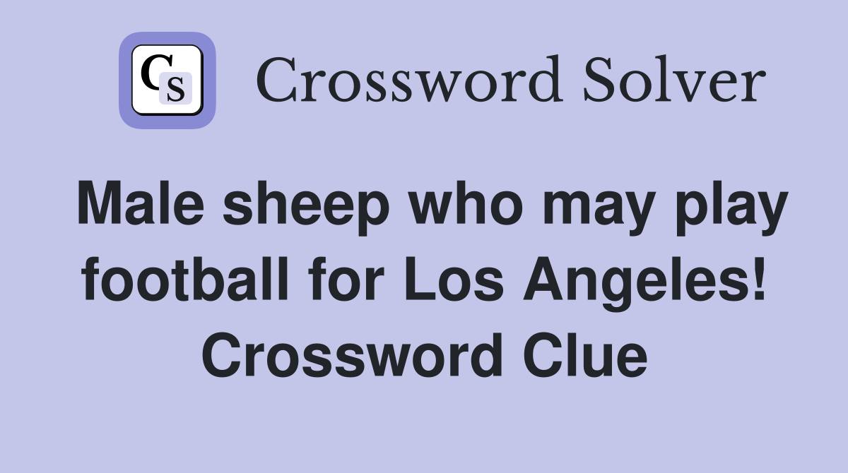 Male sheep who may play football for Los Angeles! Crossword Clue