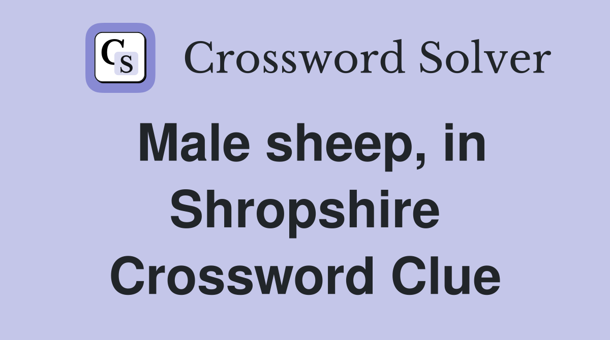 Male sheep, in Shropshire Crossword Clue
