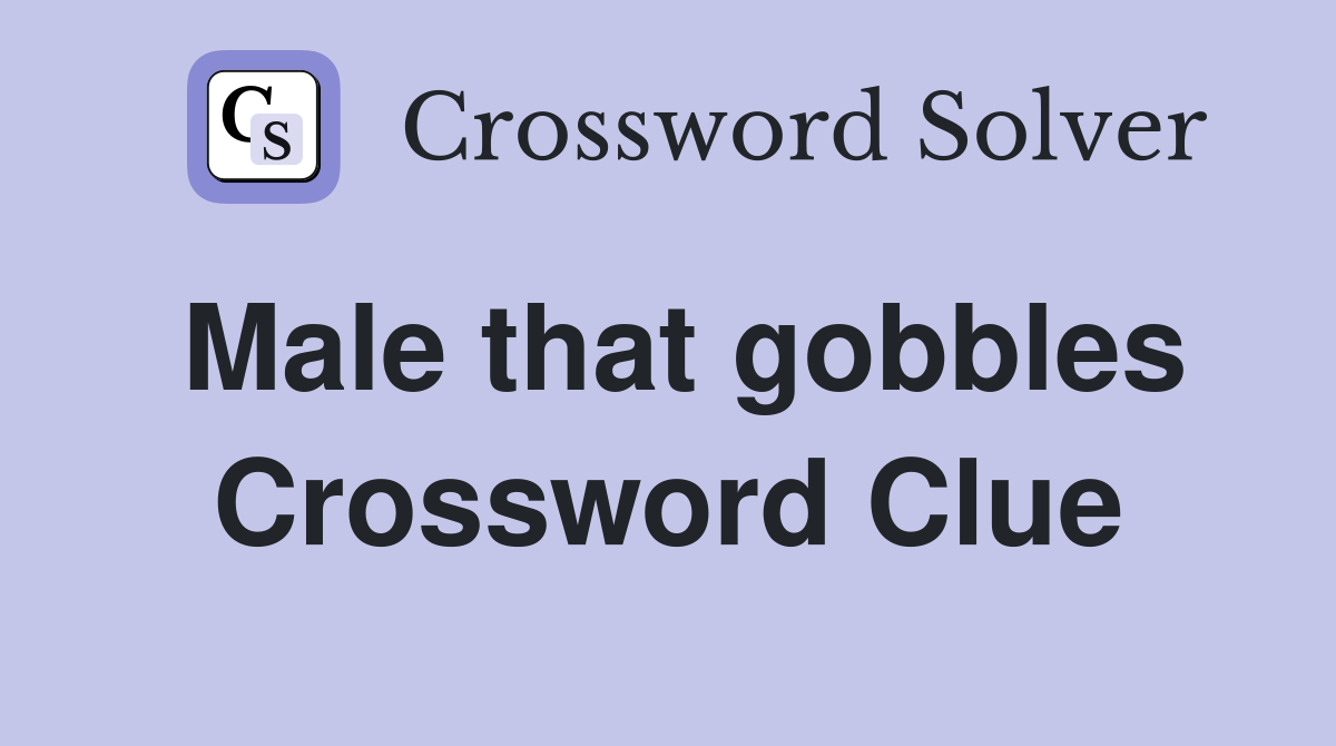 Male that gobbles Crossword Clue