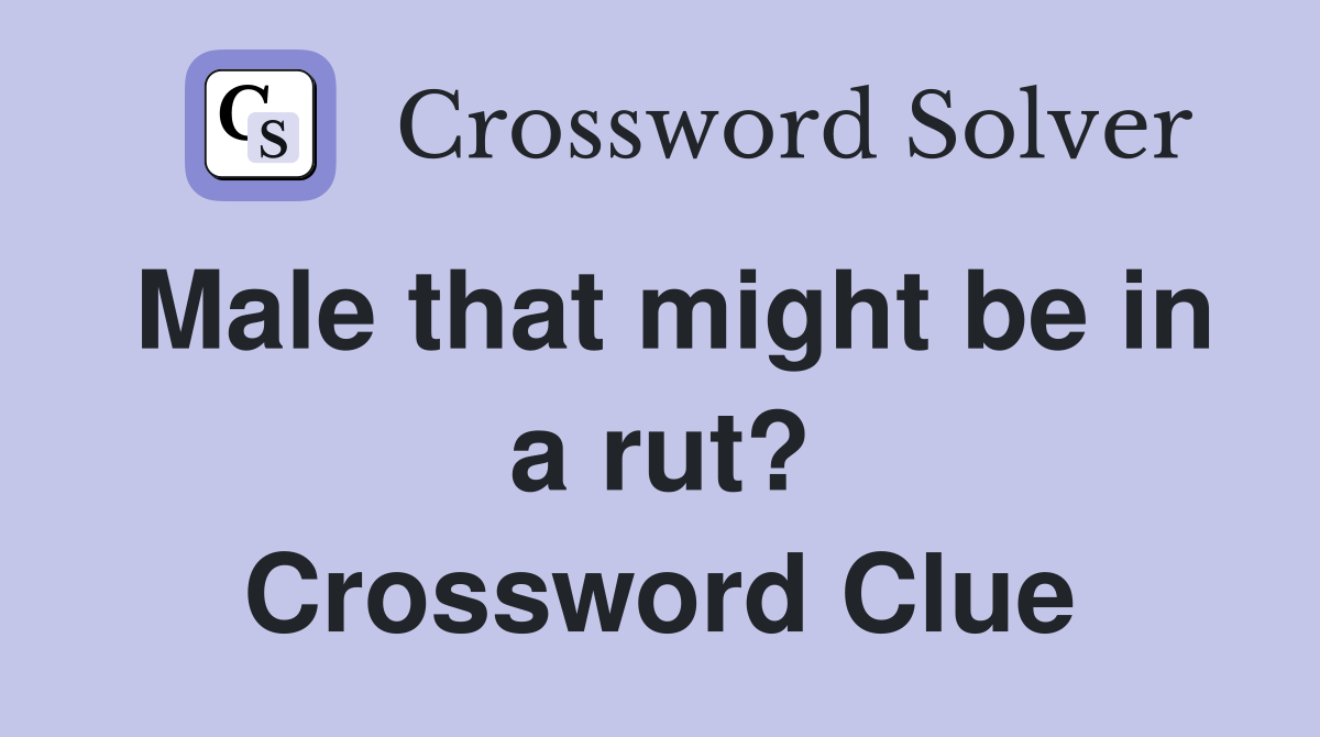 Male that might be in a rut? Crossword Clue