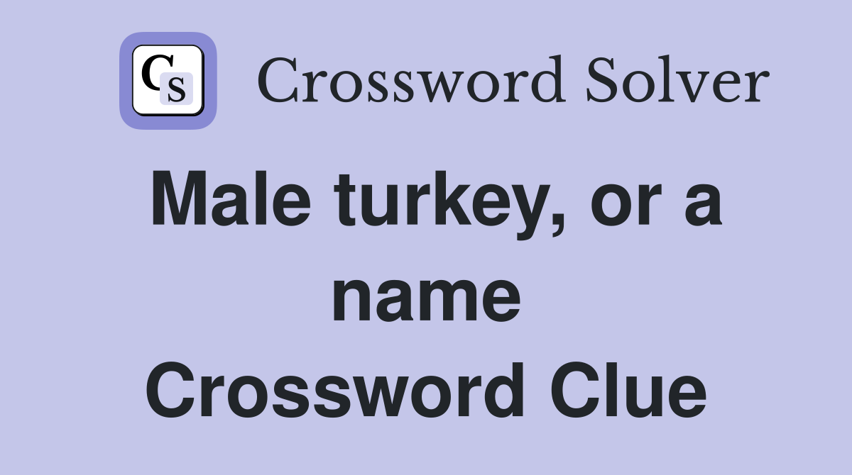 Male turkey, or a name Crossword Clue