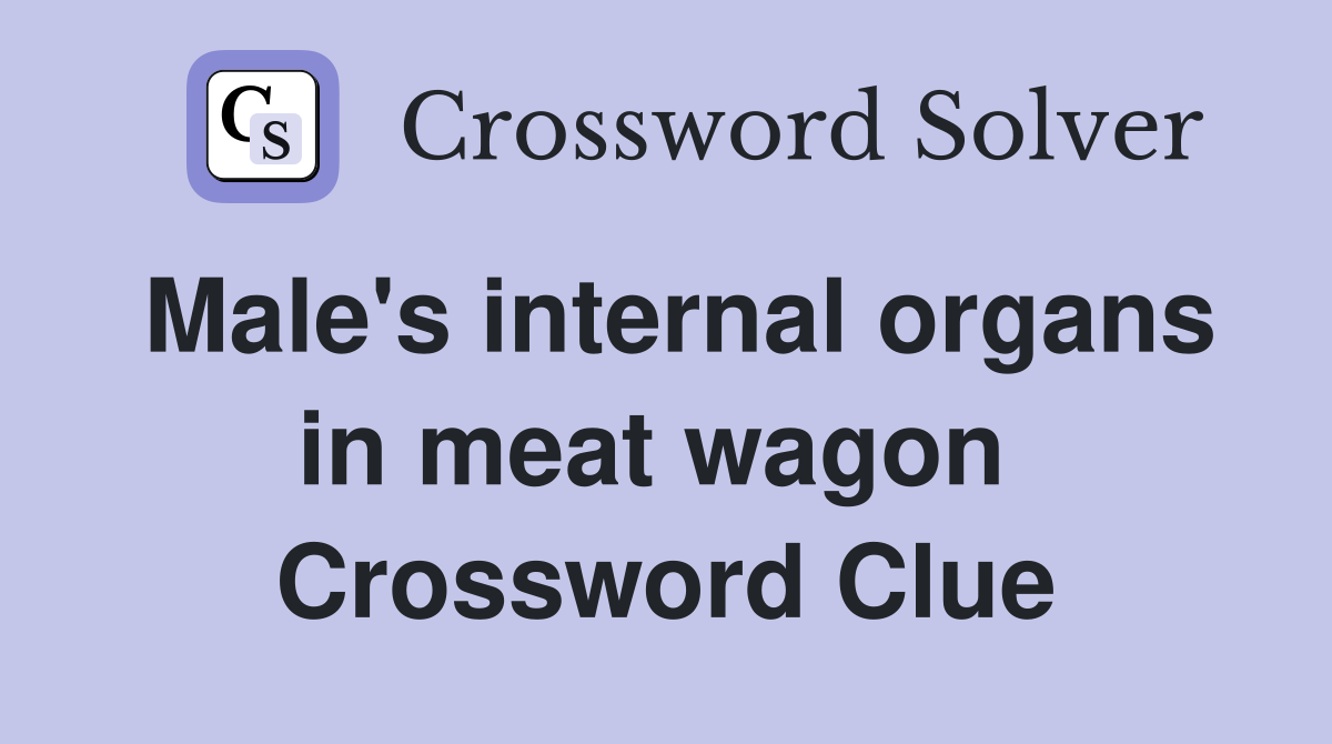 Male's internal organs in meat wagon  Crossword Clue