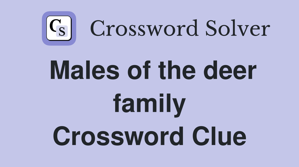 Males of the deer family Crossword Clue