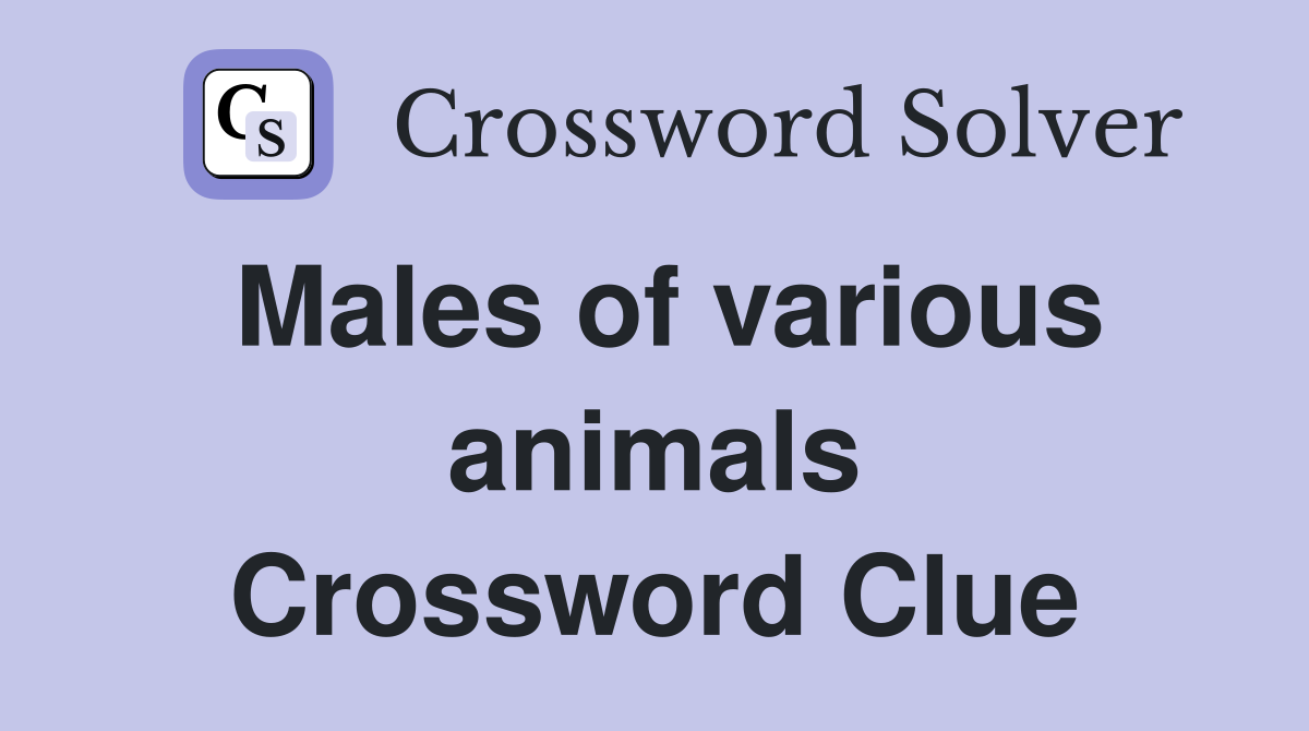 Males of various animals Crossword Clue