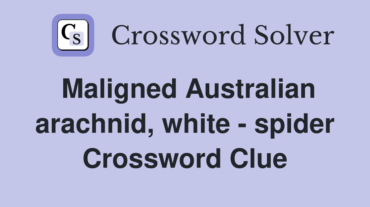 Maligned Australian arachnid, white - spider Crossword Clue