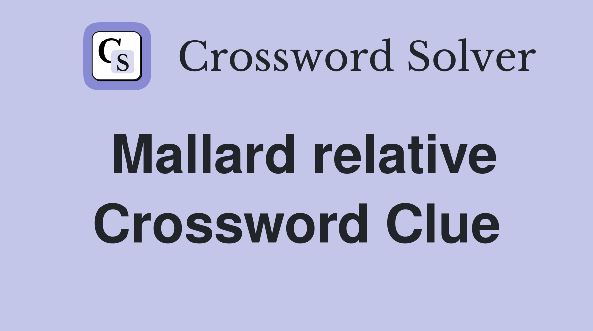 Mallard relative Crossword Clue