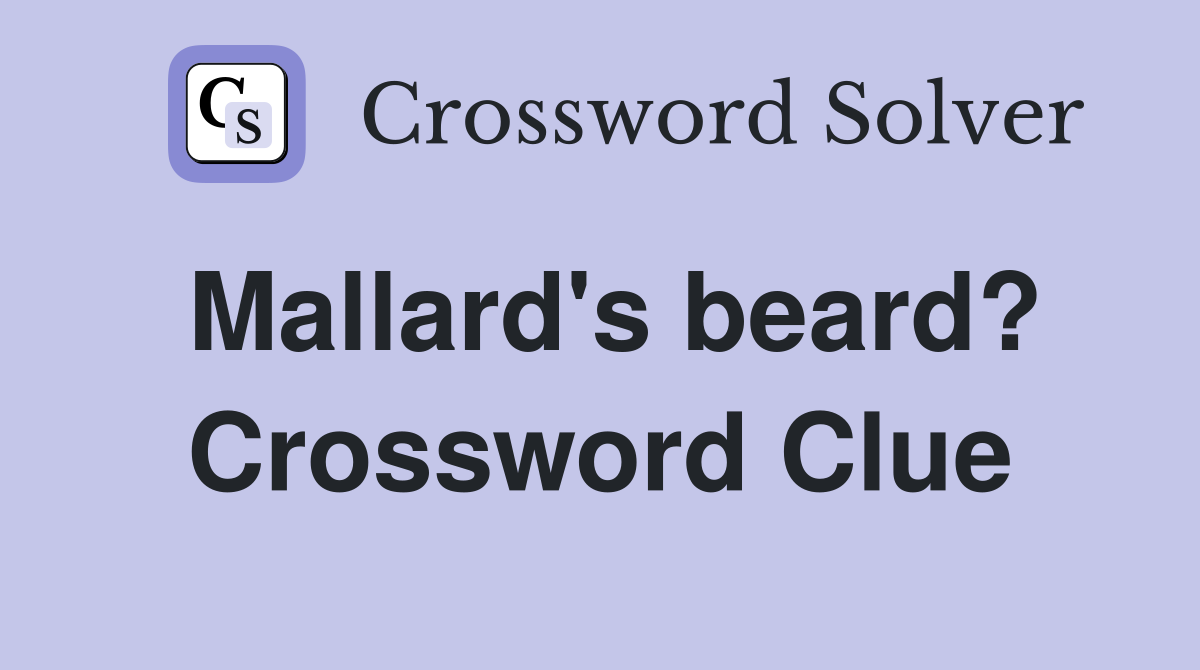Mallard's beard? Crossword Clue