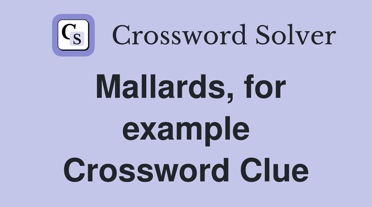 Mallards, for example Crossword Clue