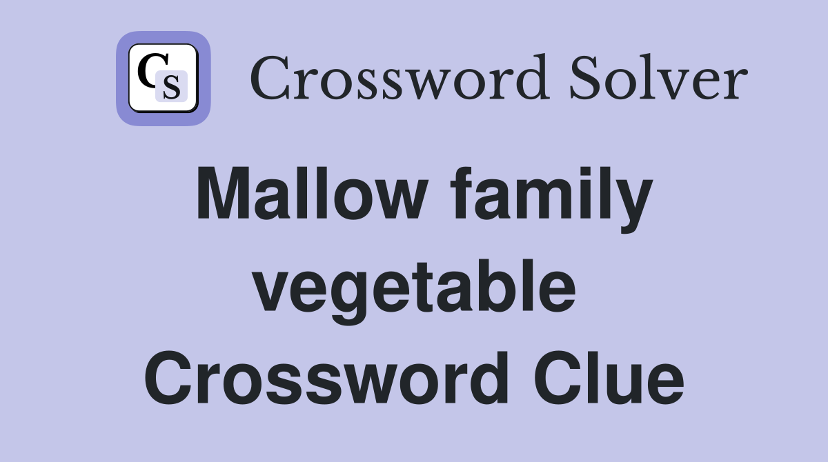 Mallow family vegetable Crossword Clue