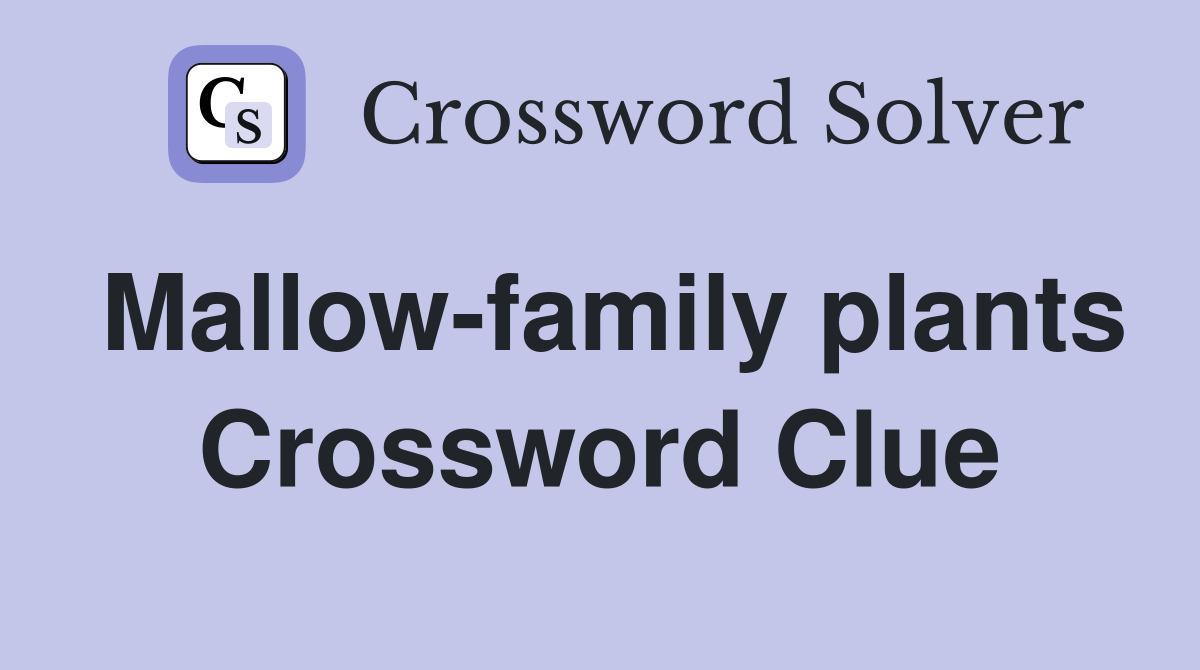 Mallow-family plants Crossword Clue