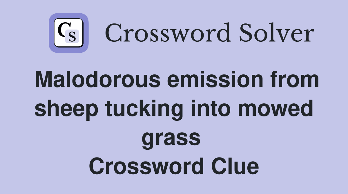 Malodorous emission from sheep tucking into mowed grass  Crossword Clue