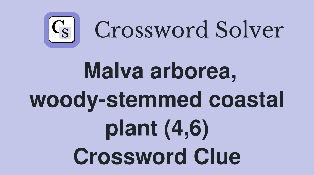 Malva arborea, woody-stemmed coastal plant (4,6) Crossword Clue