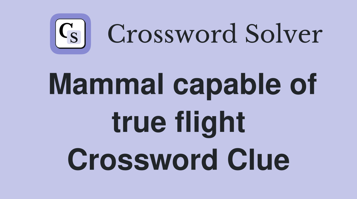 Mammal capable of true flight Crossword Clue