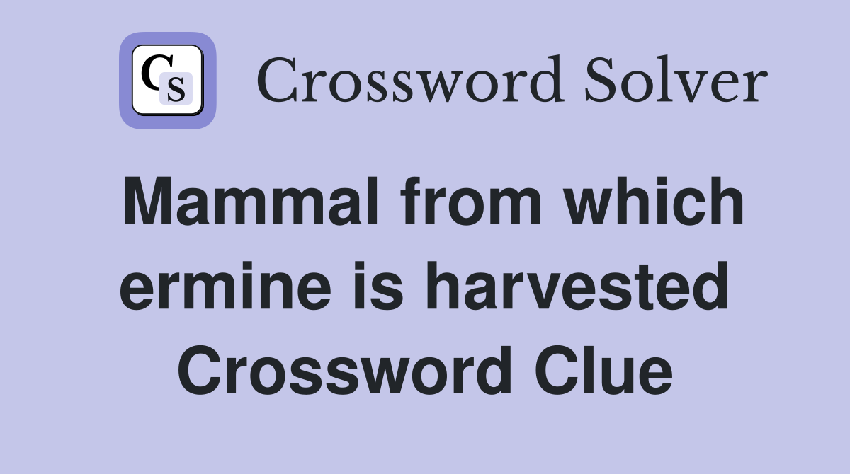 Mammal from which ermine is harvested Crossword Clue