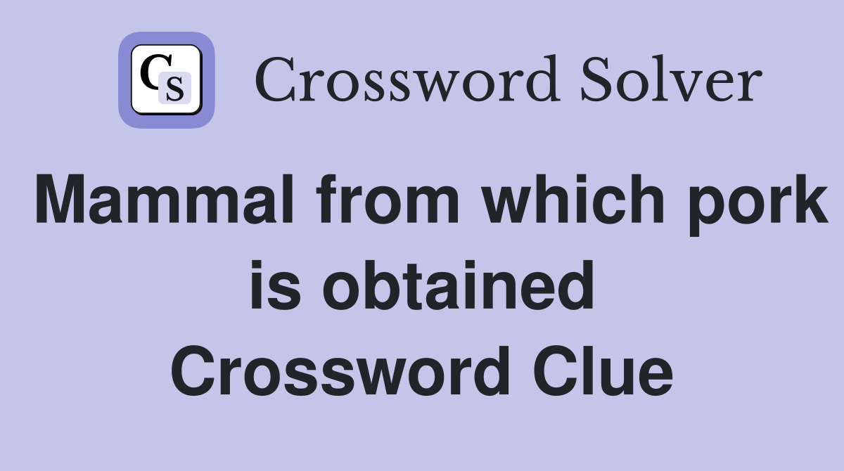 Mammal from which pork is obtained Crossword Clue