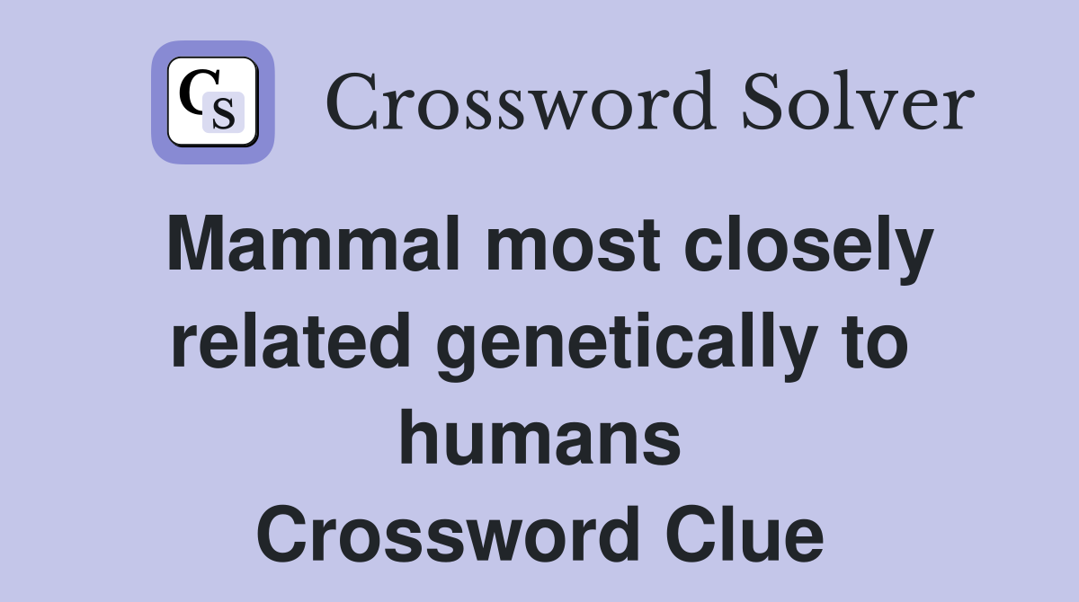 Mammal most closely related genetically to humans Crossword Clue