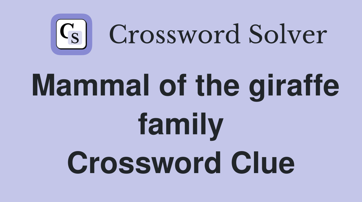 Mammal of the giraffe family Crossword Clue