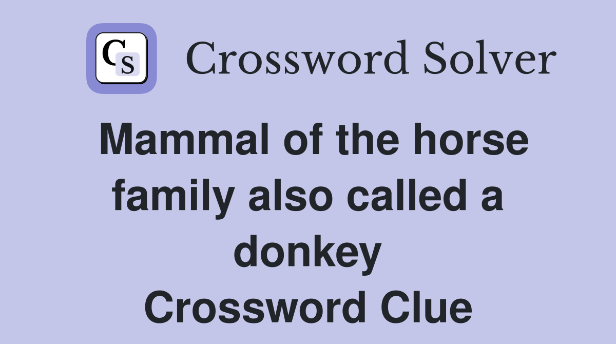 Mammal of the horse family also called a donkey Crossword Clue