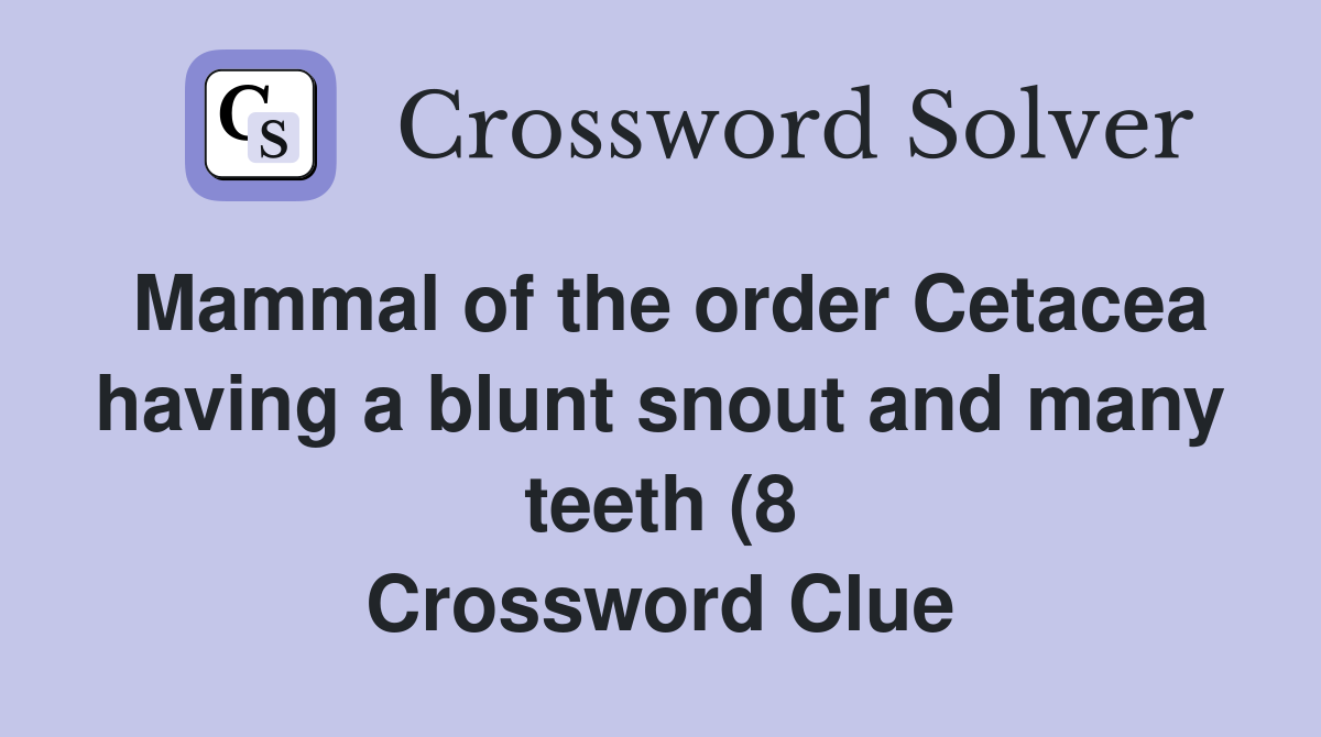 Mammal of the order Cetacea having a blunt snout and many teeth (8 Mammal of the order Cetacea having a blunt snout and many teeth (8