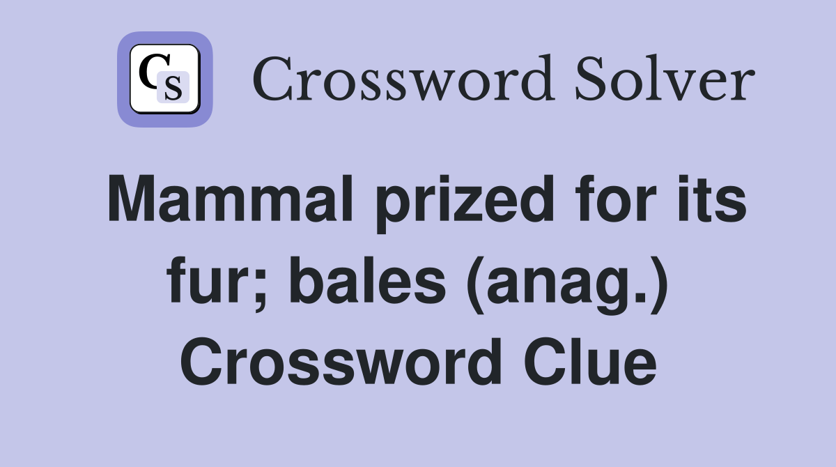 Mammal prized for its fur; bales (anag.) Crossword Clue