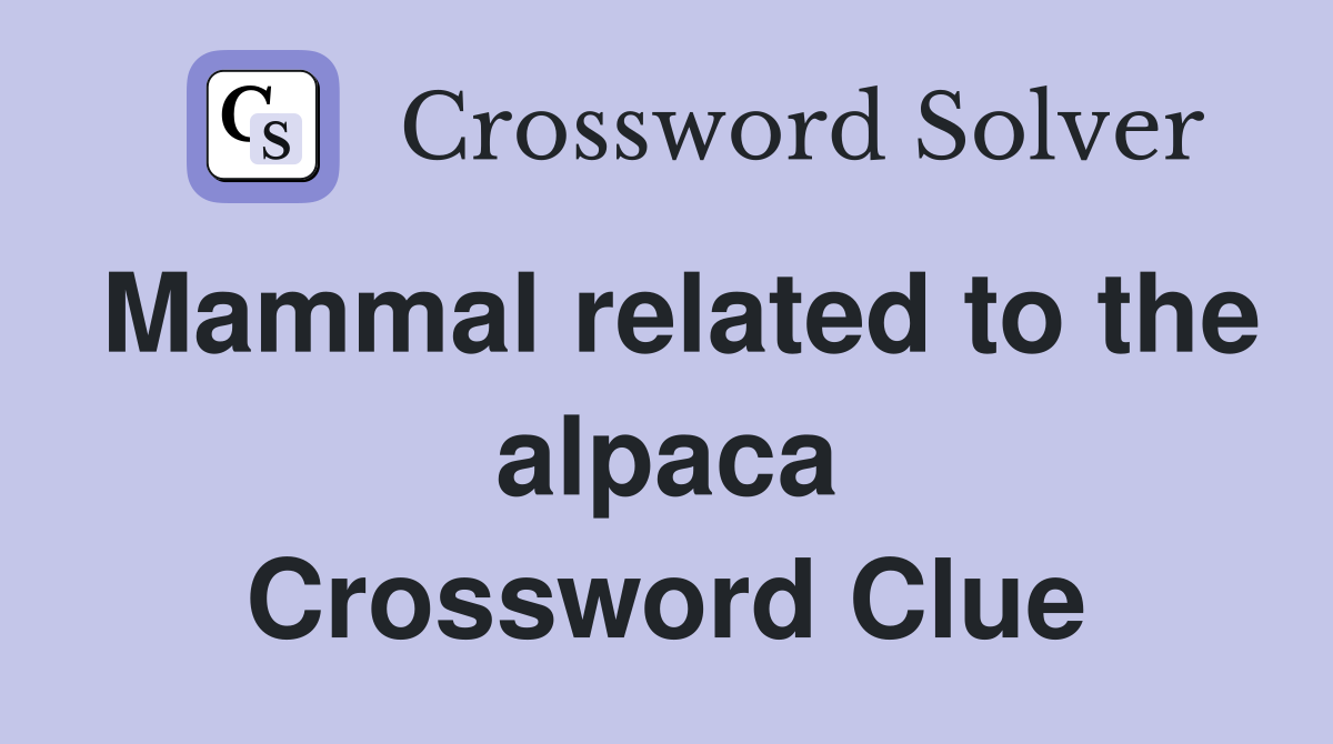Mammal related to the alpaca Crossword Clue