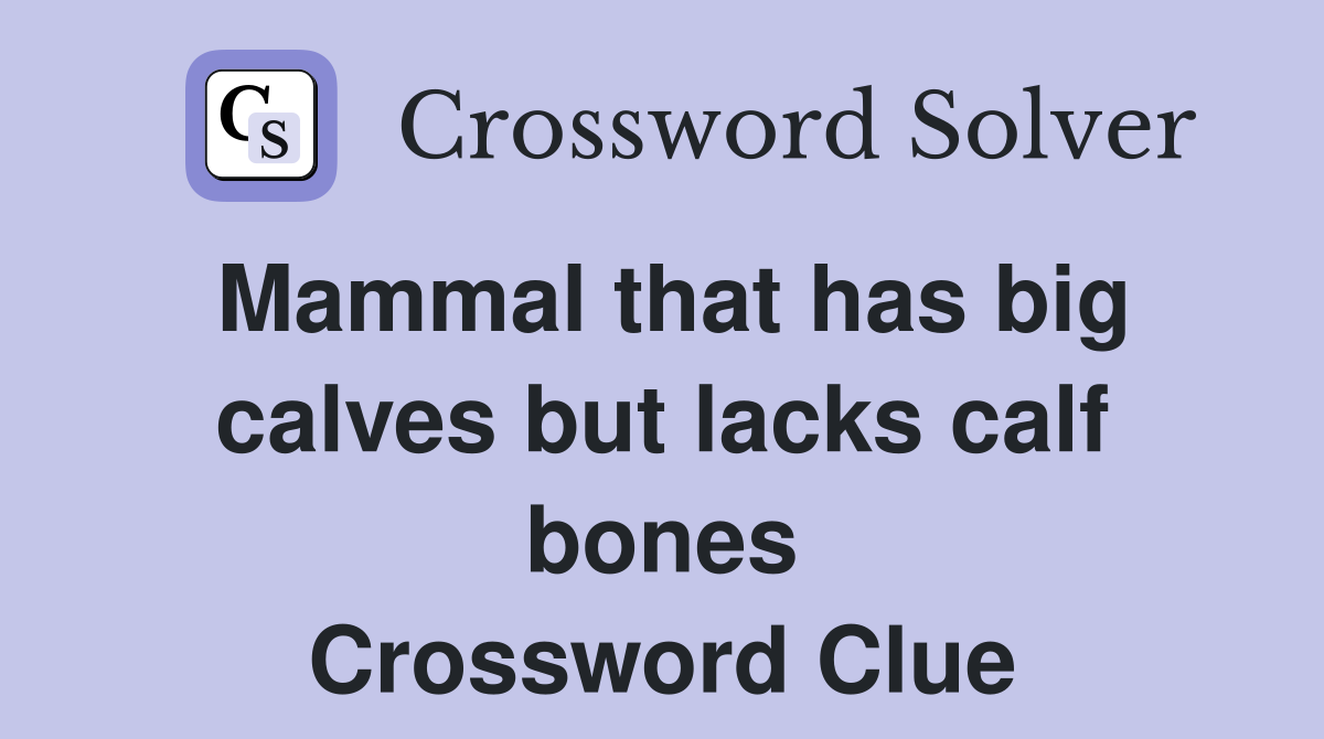 Mammal that has big calves but lacks calf bones Crossword Clue