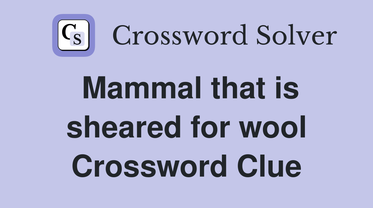 Mammal that is sheared for wool Crossword Clue