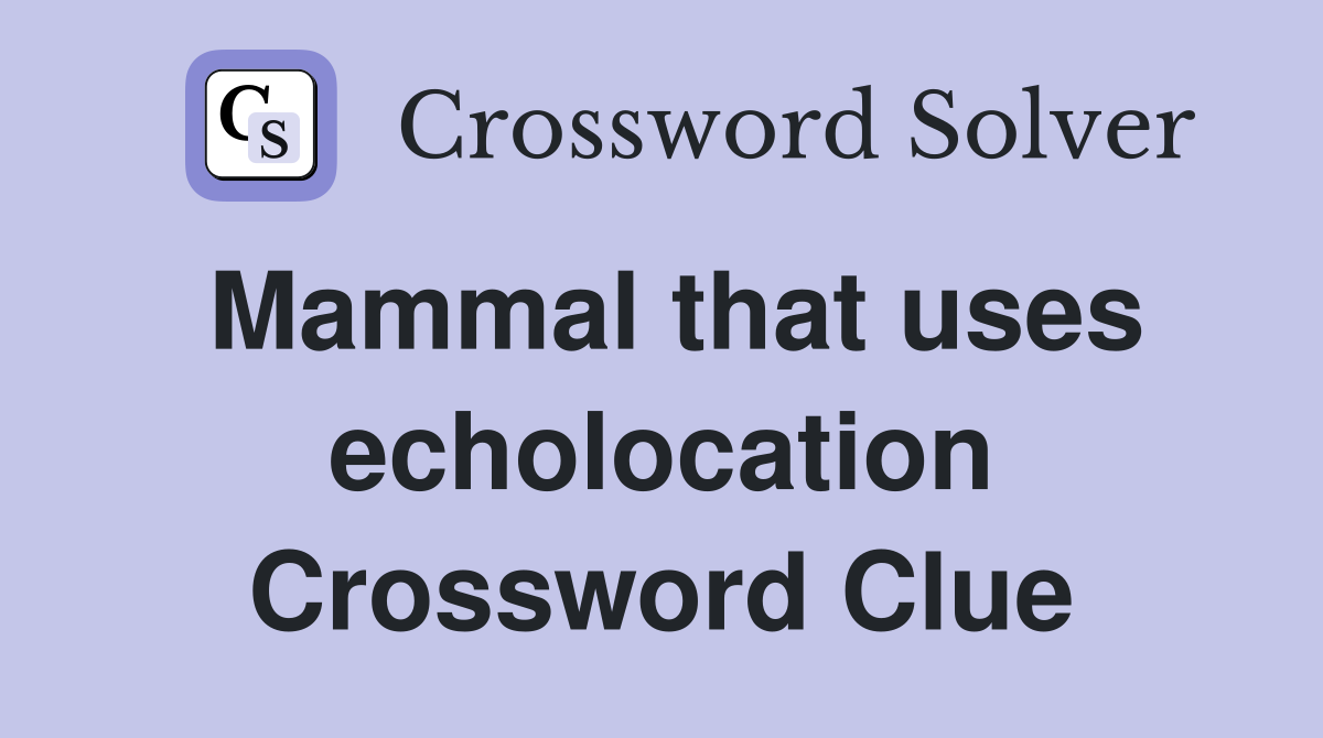 Mammal that uses echolocation Crossword Clue