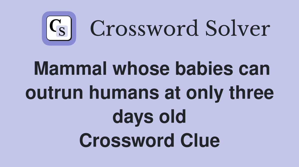 Mammal whose babies can outrun humans at only three days old Crossword Clue