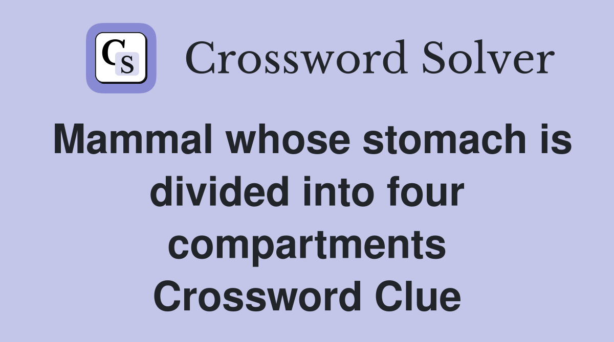 Mammal whose stomach is divided into four compartments Crossword Clue