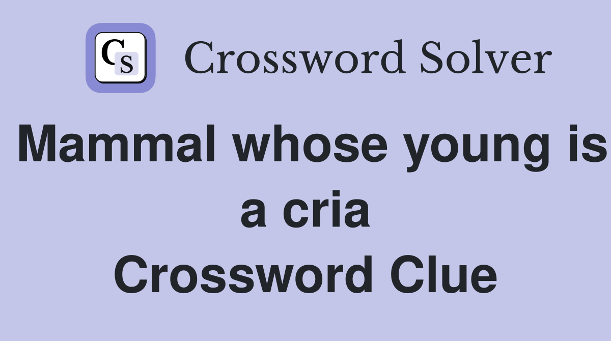 Mammal whose young is a cria Crossword Clue