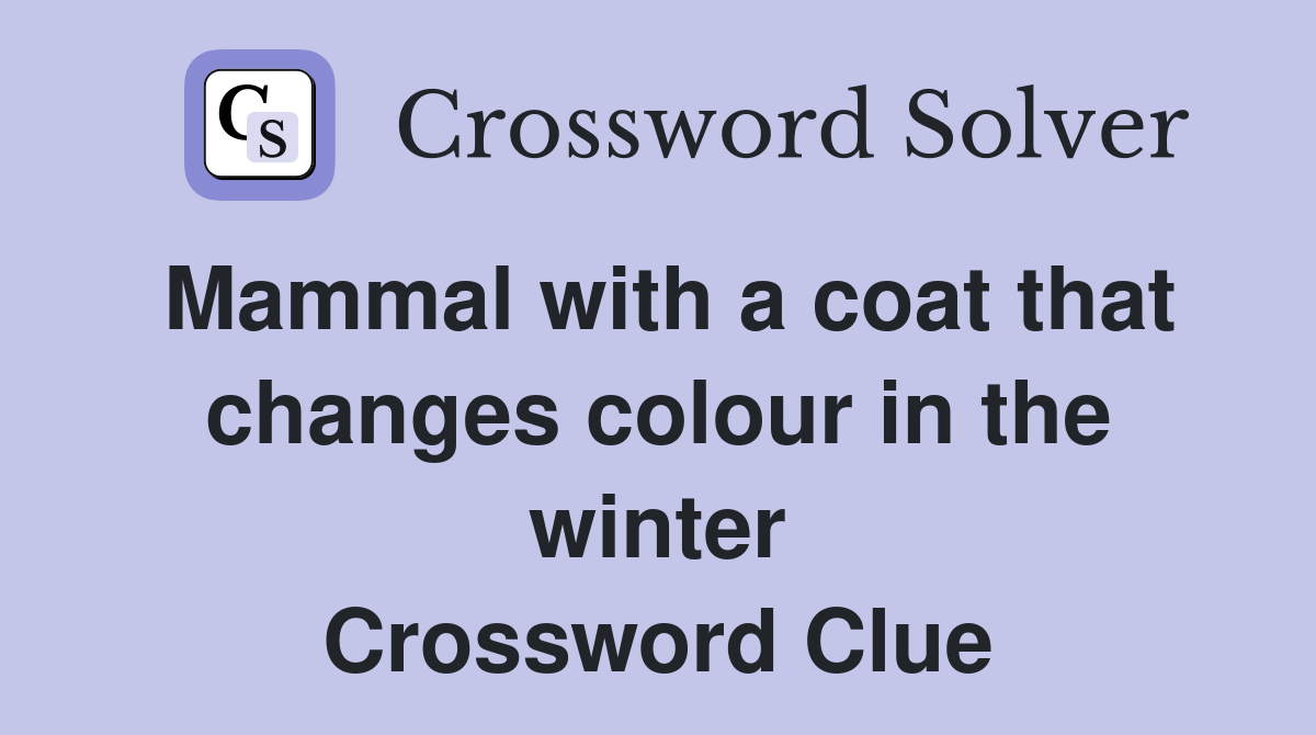 Mammal with a coat that changes colour in the winter Crossword Clue
