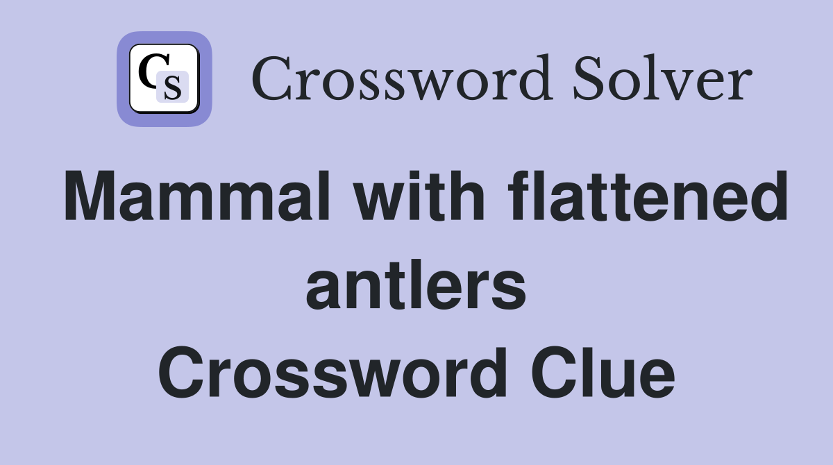 Mammal with flattened antlers Crossword Clue
