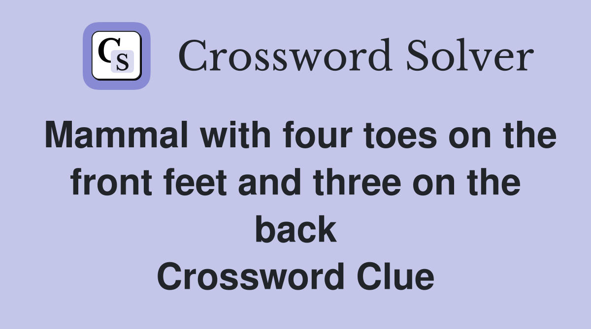 Mammal with four toes on the front feet and three on the back Crossword Clue