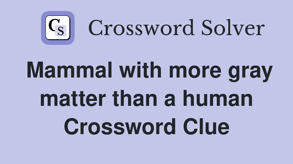 Mammal with more gray matter than a human Crossword Clue