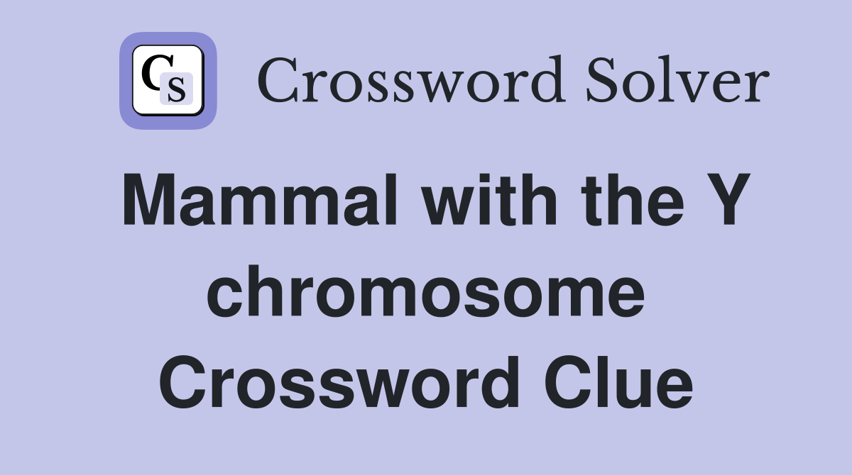 Mammal with the Y chromosome Crossword Clue