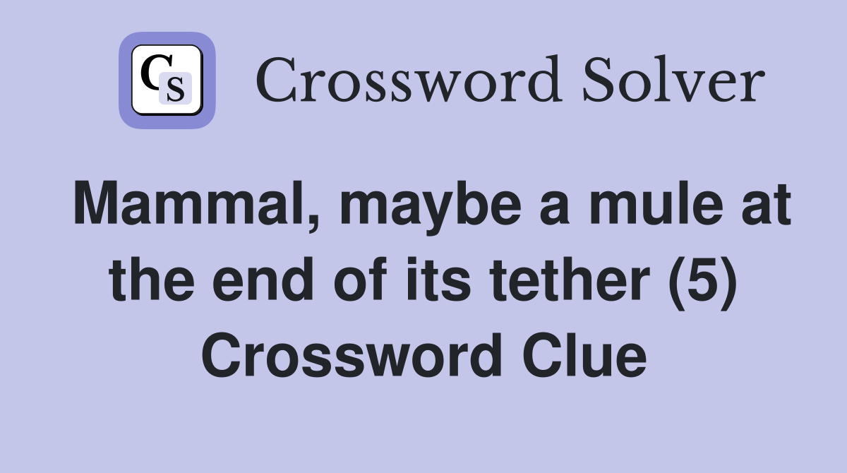 Mammal, maybe a mule at the end of its tether (5) Crossword Clue