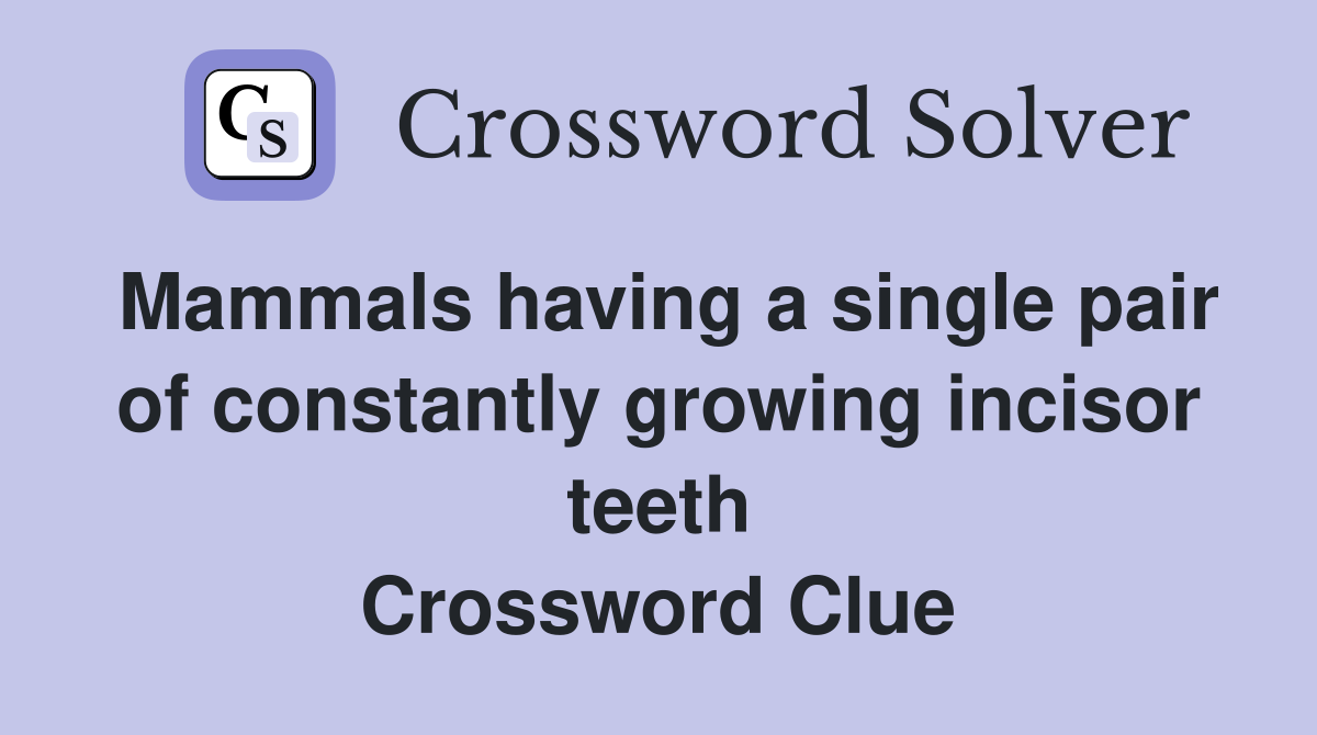 Mammals having a single pair of constantly growing incisor teeth Crossword Clue
