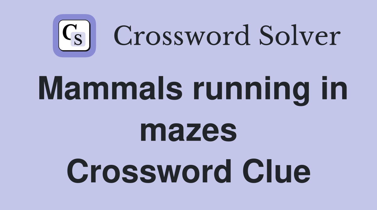 Mammals running in mazes Crossword Clue