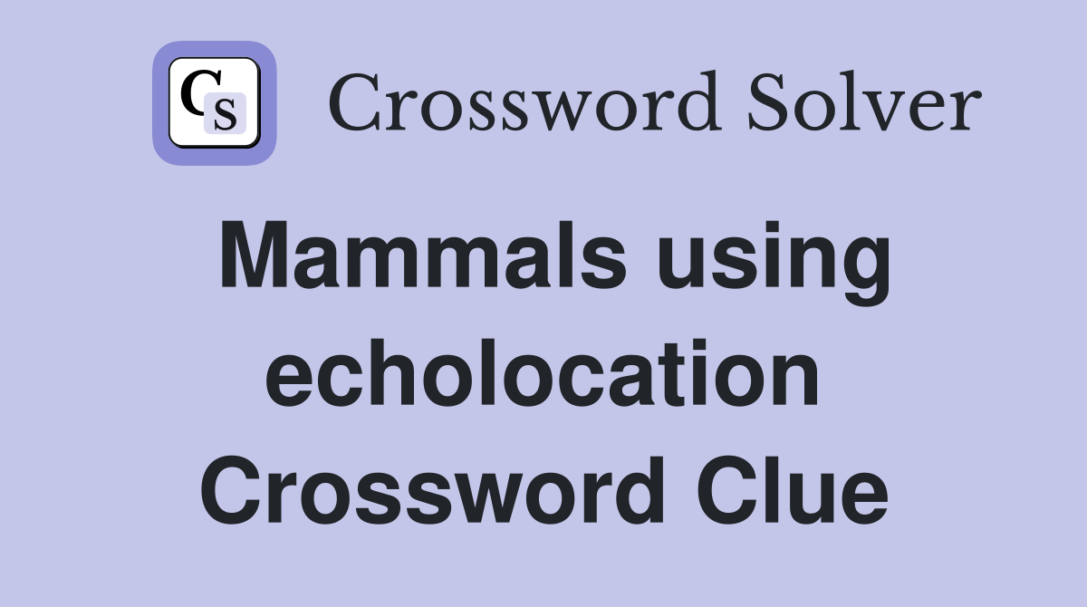 Mammals using echolocation Crossword Clue