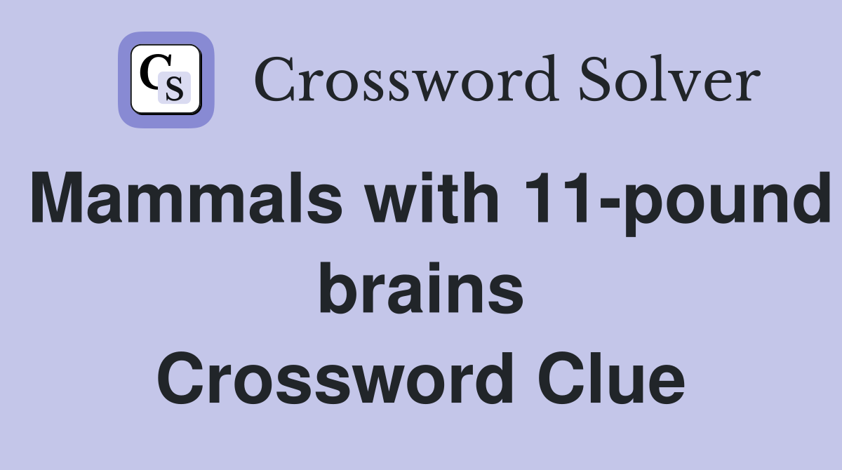 Mammals with 11-pound brains Crossword Clue