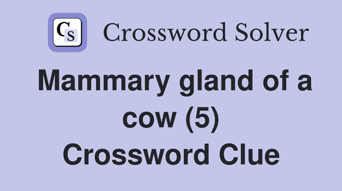 Mammary gland of a cow (5) Crossword Clue