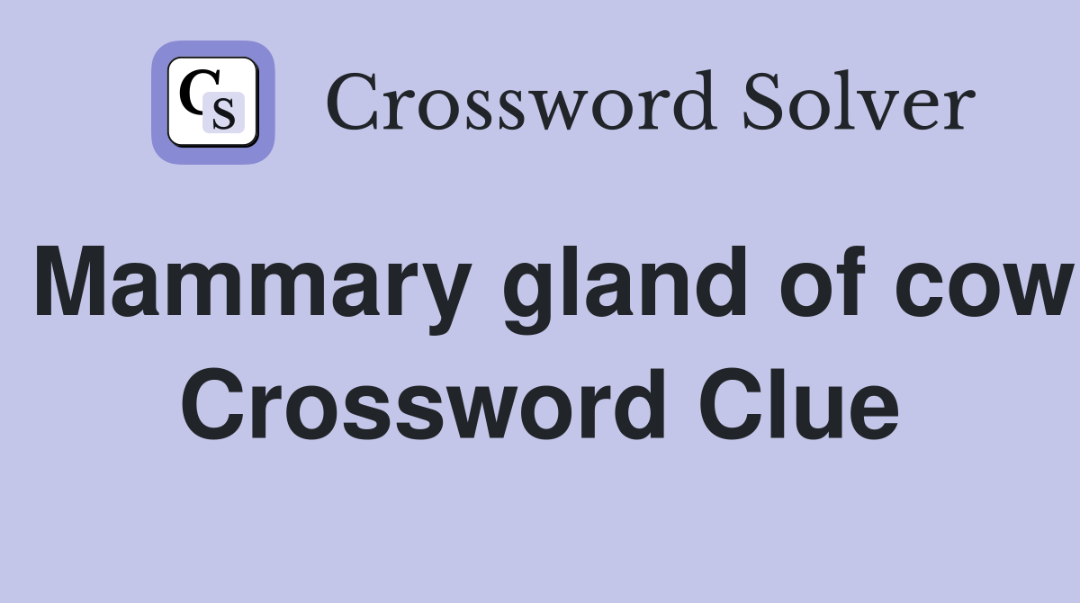 Mammary gland of cow Crossword Clue