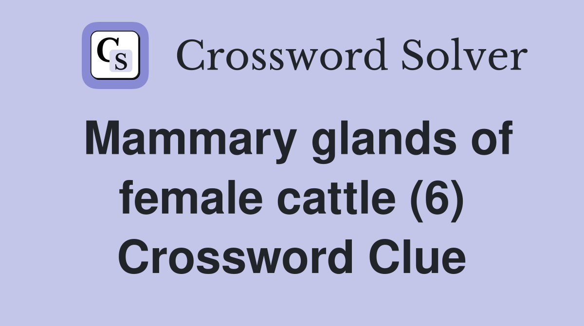 Mammary glands of female cattle (6) Crossword Clue