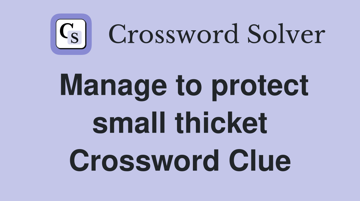 Manage to protect small thicket Crossword Clue