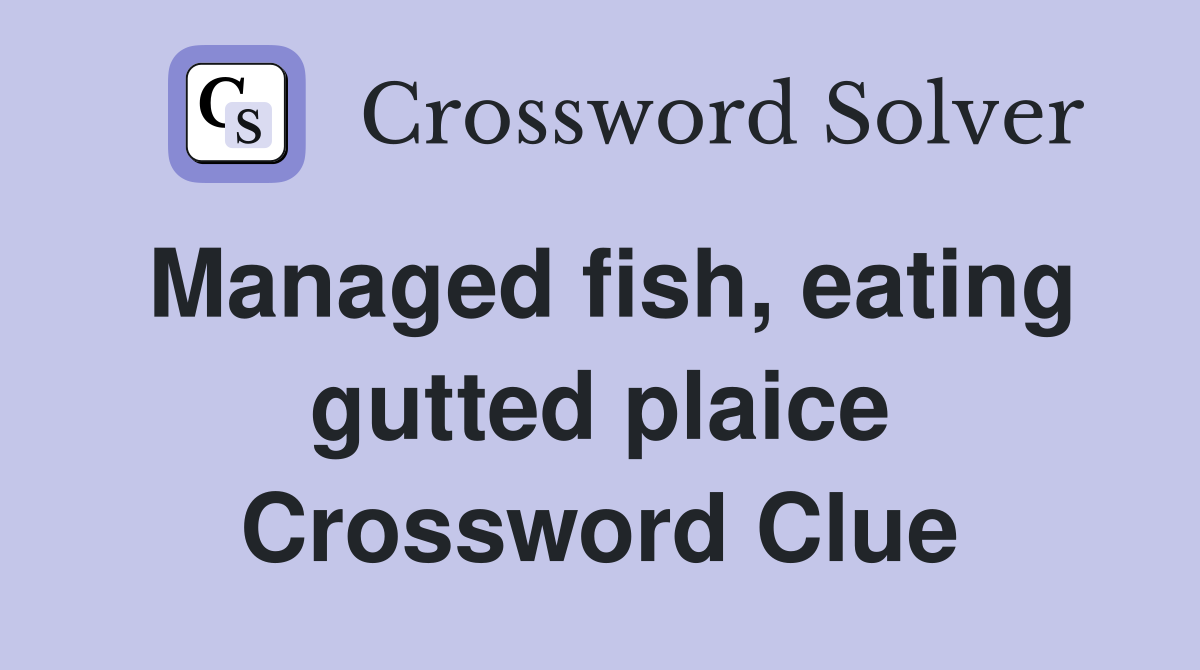 Managed fish, eating gutted plaice Crossword Clue