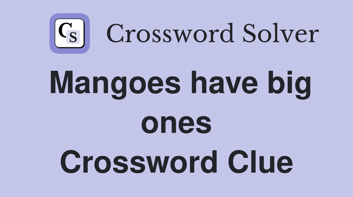 Mangoes have big ones Crossword Clue