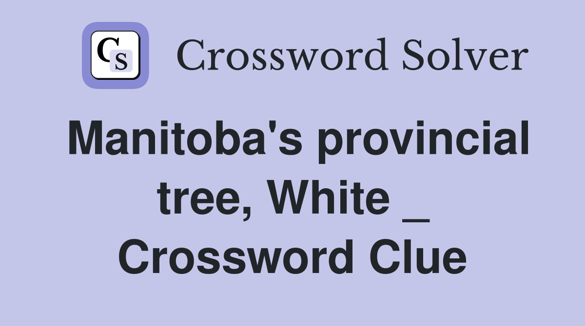 Manitoba's provincial tree, White _ Crossword Clue