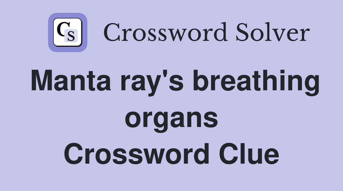 Manta ray's breathing organs Crossword Clue